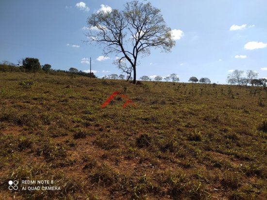 fazenda-venda-proximo-a-piumhi-mg-596771